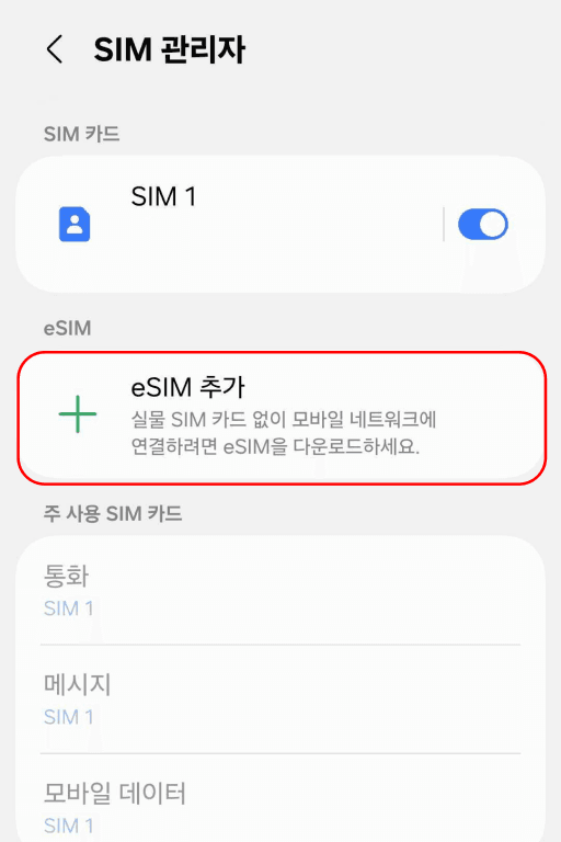 SIM 관리자에서 eSIM 추가 선택