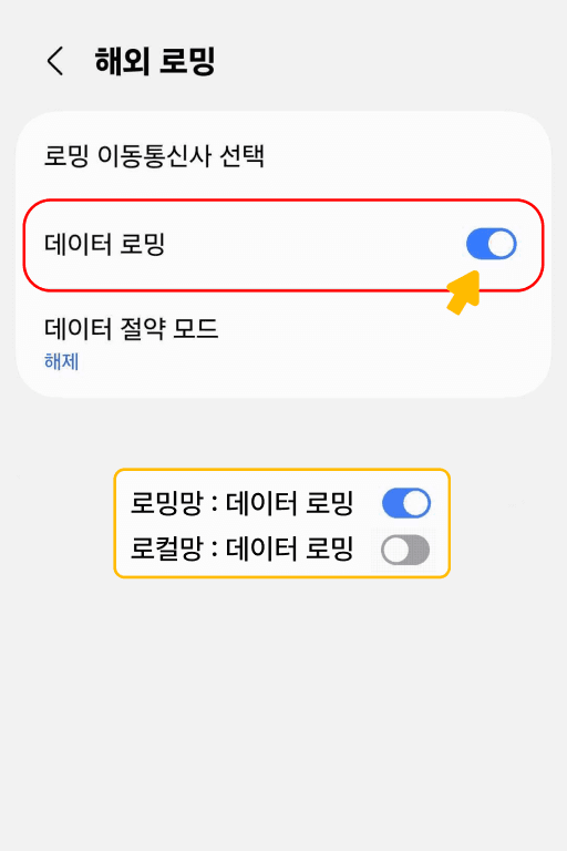 데이터 로밍 설정